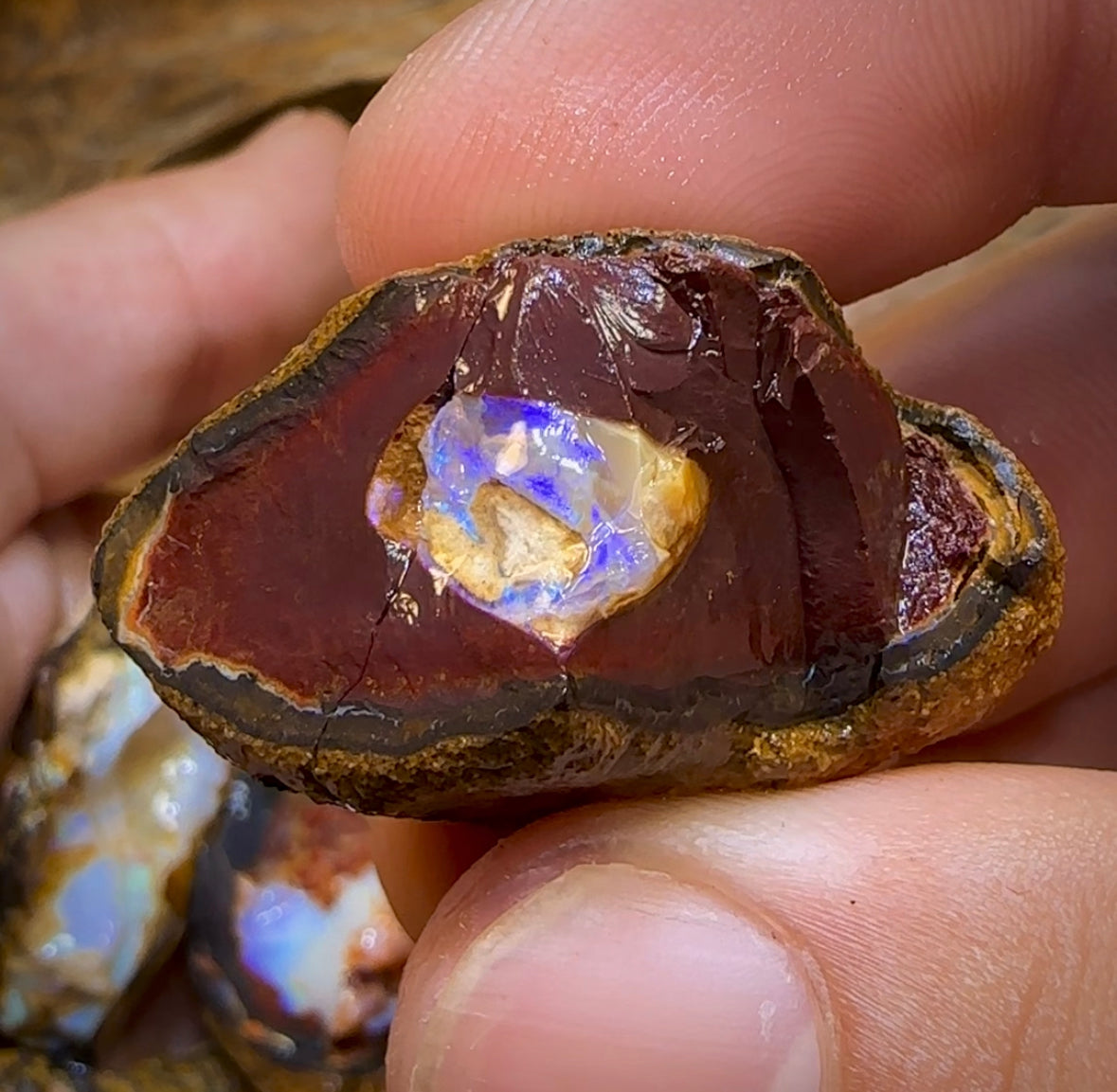 140.1g - 8x Mixed Queensland Boulder Opal Rough Pieces with Crystal Centres - Opal Whisperers
