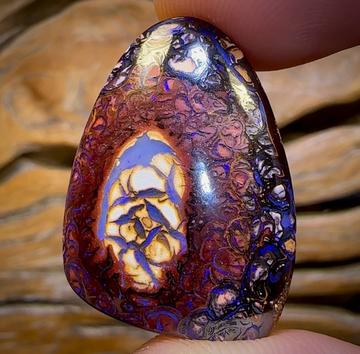 43.1cts - Tribal Queensland Boulder Opal from Yowah
