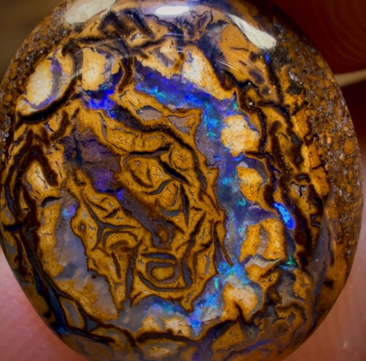 7.1cts - Tribal Yowah Nut Opal. Australian Opal