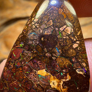 Bargain Card! 23.2cts - Top Tribal Queensland Boulder Opal from Yowah