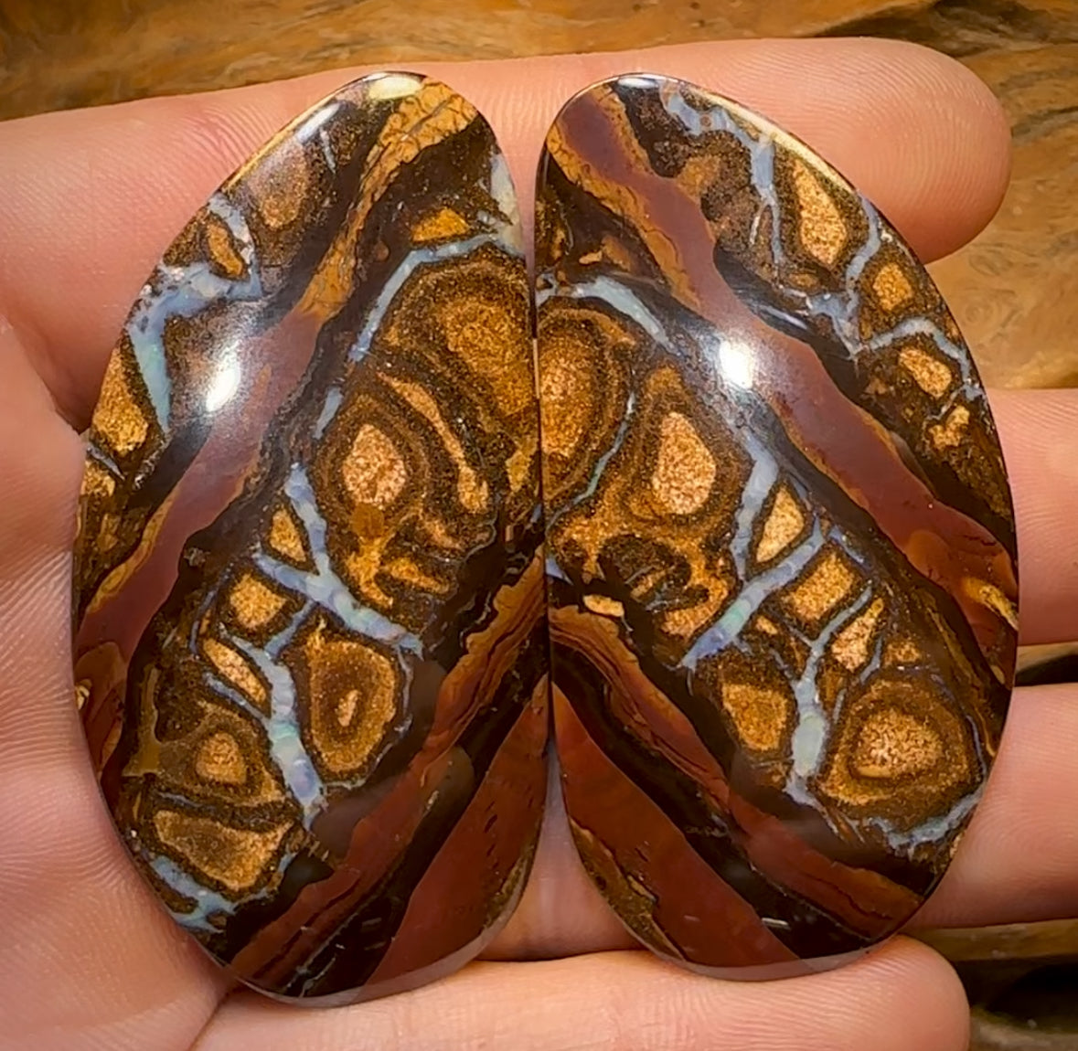 145.3cts - Queensland Boulder Opal Pair. Double Sided Picture Stones