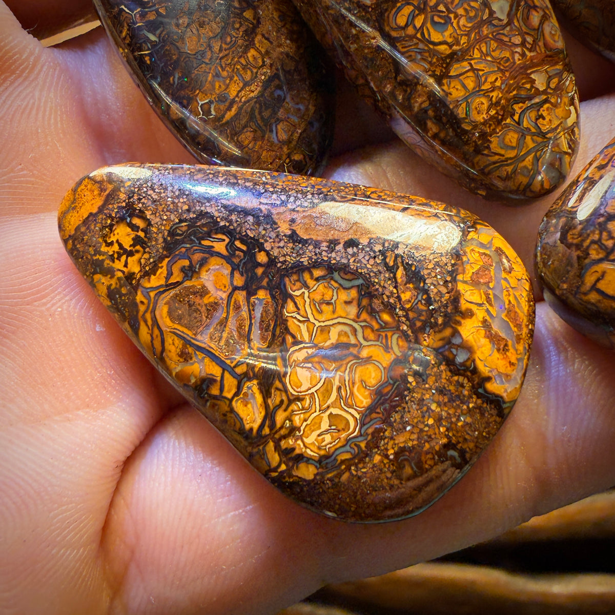 🔒217.7cts - 5x Australian Tribal Boulder Opal’s. Wholesale Dealers Parcel