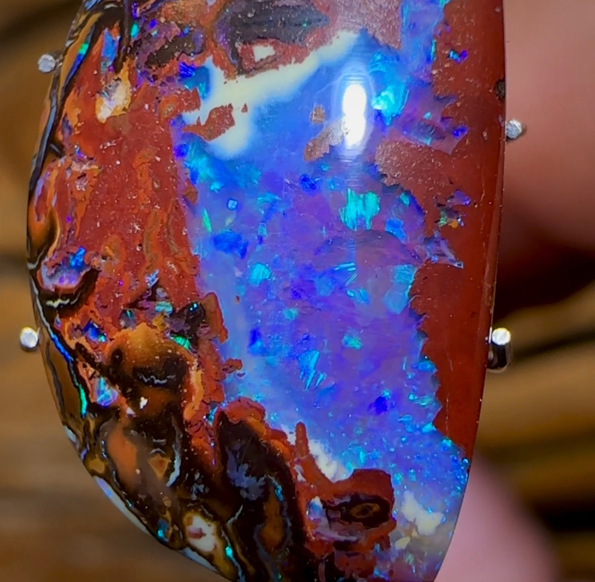 10.5cts - Queensland Boulder Opal Nut Kernel from Koroit Double Sided Magic!