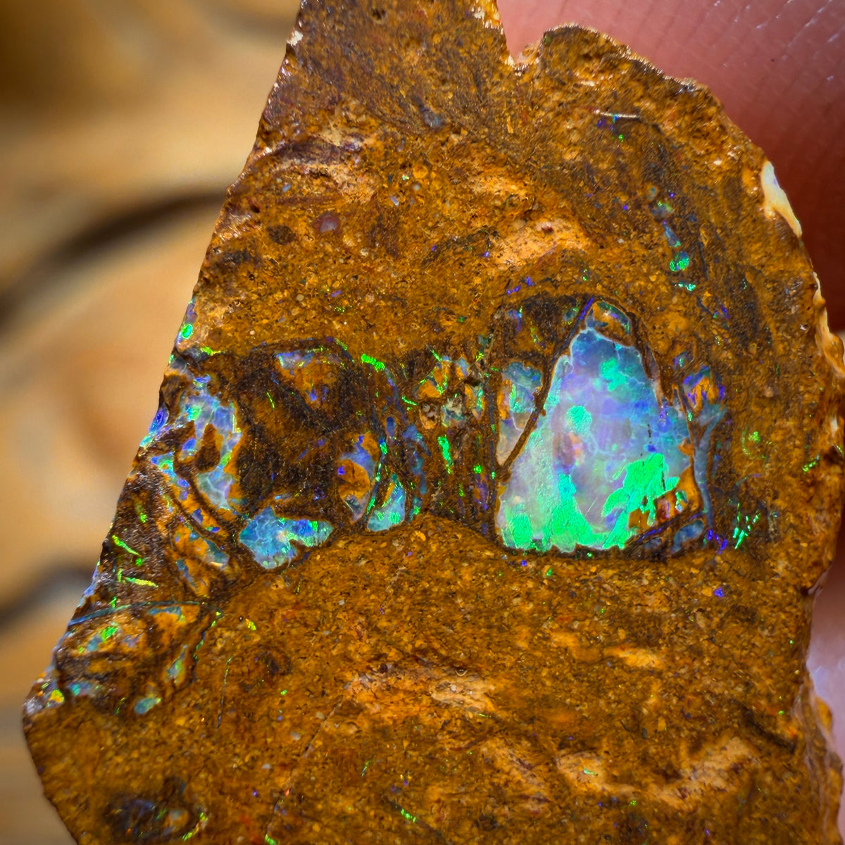 Wildcard! 38.4cts - Tribal Yowah Nut Opal Rough Piece