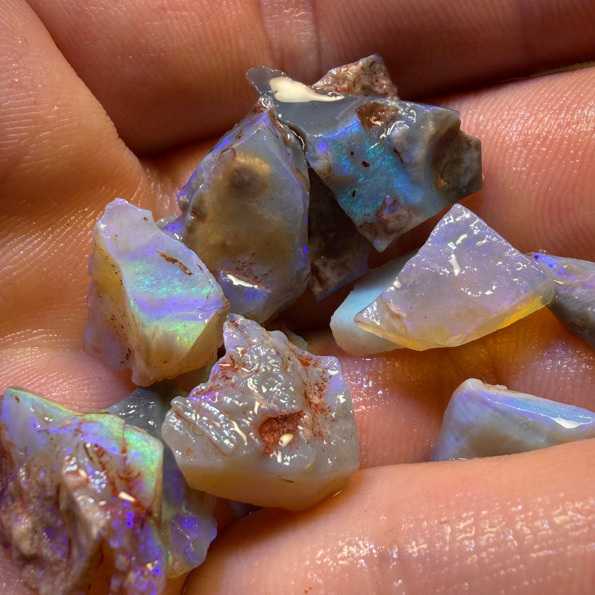 59.7cts - 14x Lightning Ridge Opal Rough Parcel