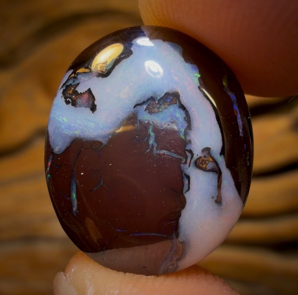 13.7cts - Australian Boulder Opal from Koroit. Double Sided