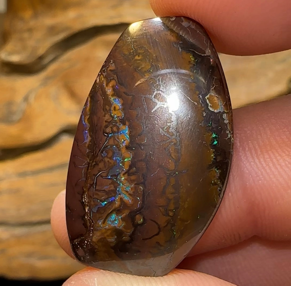 32.4cts - Queensland Boulder Opal - Opal Whisperers