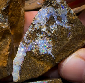 1107cts - 3x Queensland Boulder Opal Rough Parcel from Winton