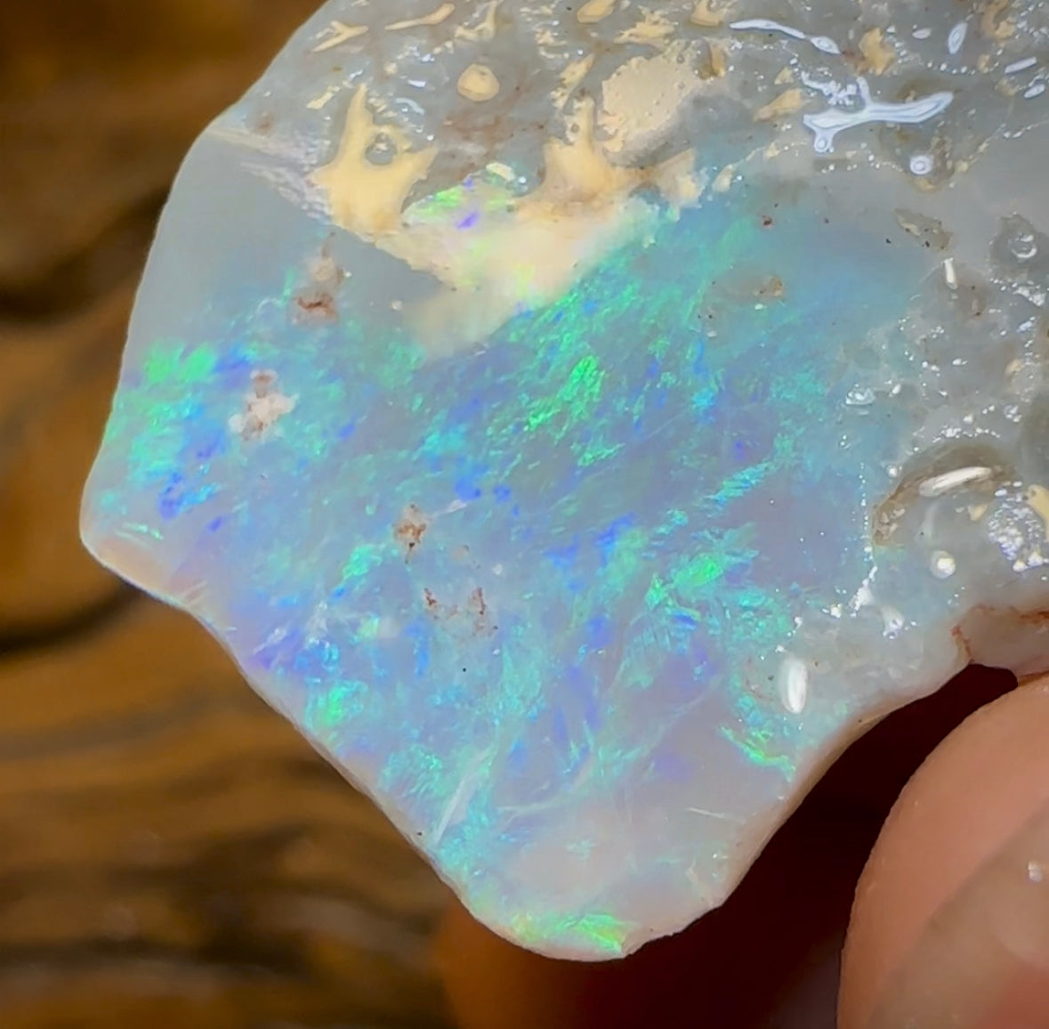 47.5cts - Dark Opal Rough Piece from Lightning Ridge. - Opal Whisperers