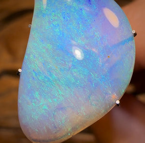6.4cts - “Ocean Memory” Polished Opalised Shell Fossil from South Australia Double Sided Magic