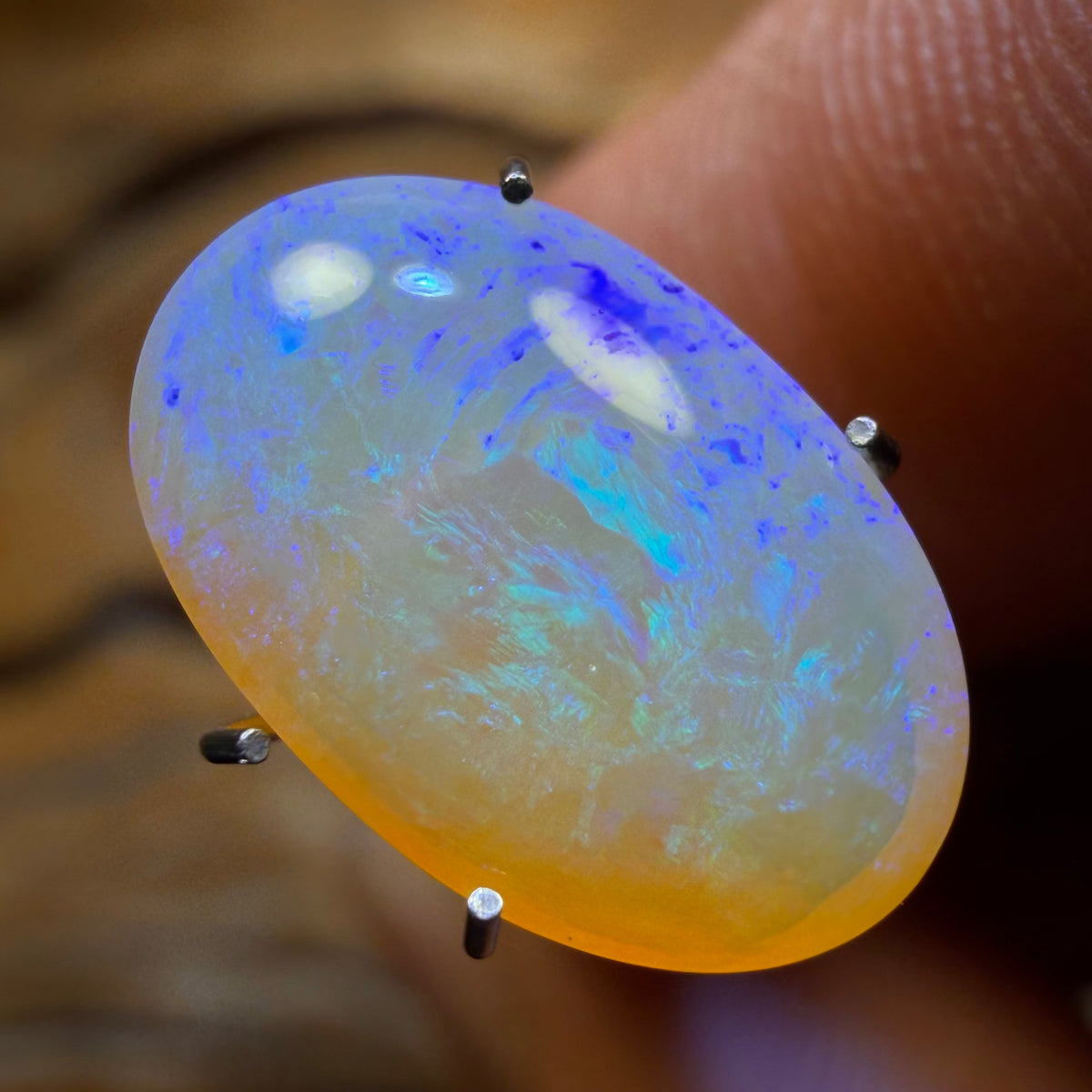 3.1cts - Lightning Ridge Crystal Opal
