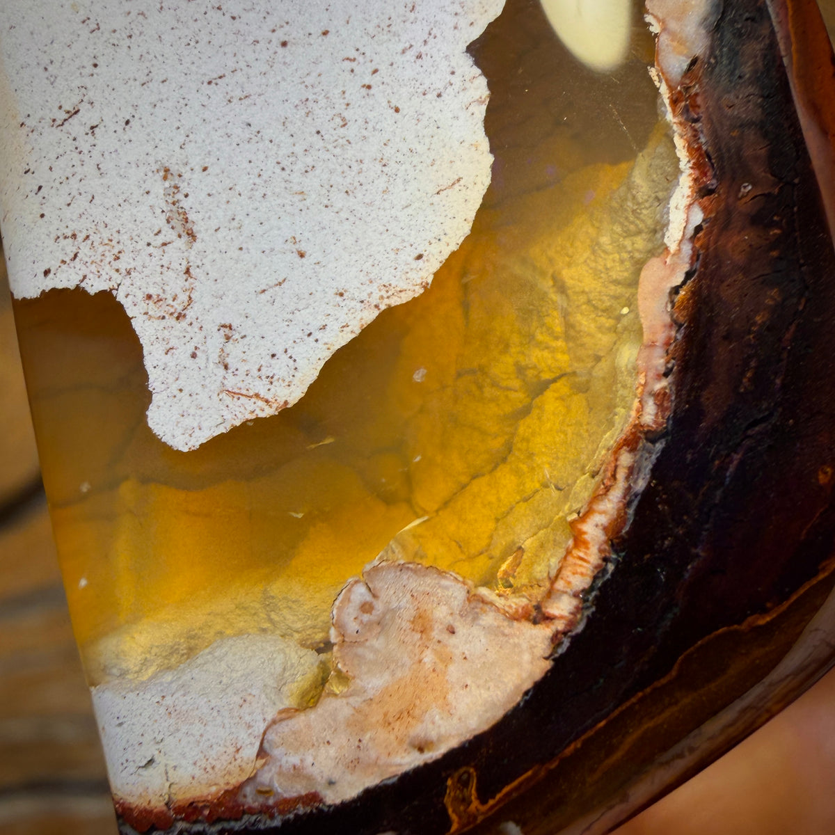 187.9cts - Yowah Nut Kernel Opal