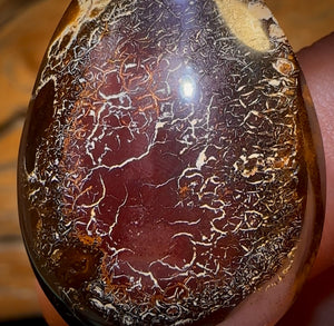 🔨 AUCTION 🔨 No Reserve 30.9cts - Tribal Australian Boulder Opal from Koroit