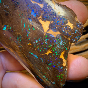 620.5cts - Massive Queensland Boulder Opal Polished Specimen. Bubble Band