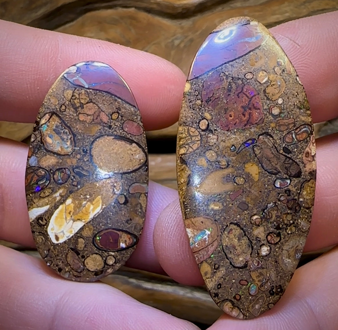 68.2cts - Big Yowah Nut Conglomerate Opal Pair BARGAIN