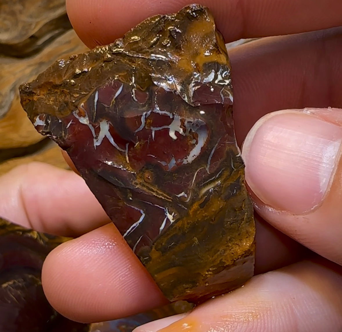 (Template) 233.8g- 7x Large Queensland Boulder Opal Rough Pieces - Opal Whisperers