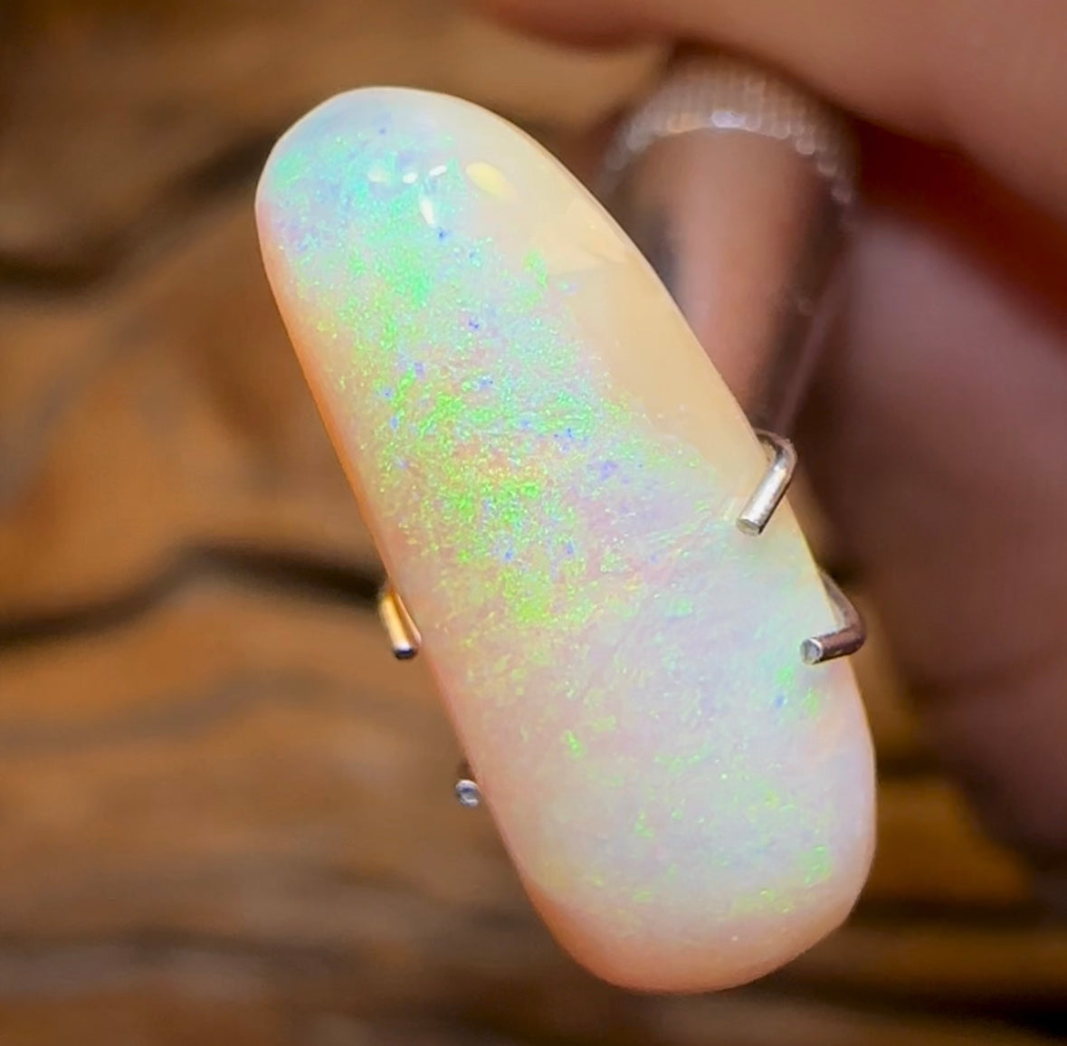 3.6cts - Queensland Boulder Crystal Opal from Winton - Opal Whisperers