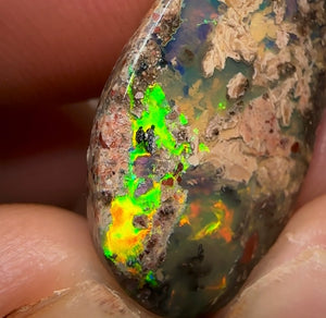 11.9cts - Bargain! Electric Queensland Boulder Opal - Opal Whisperers