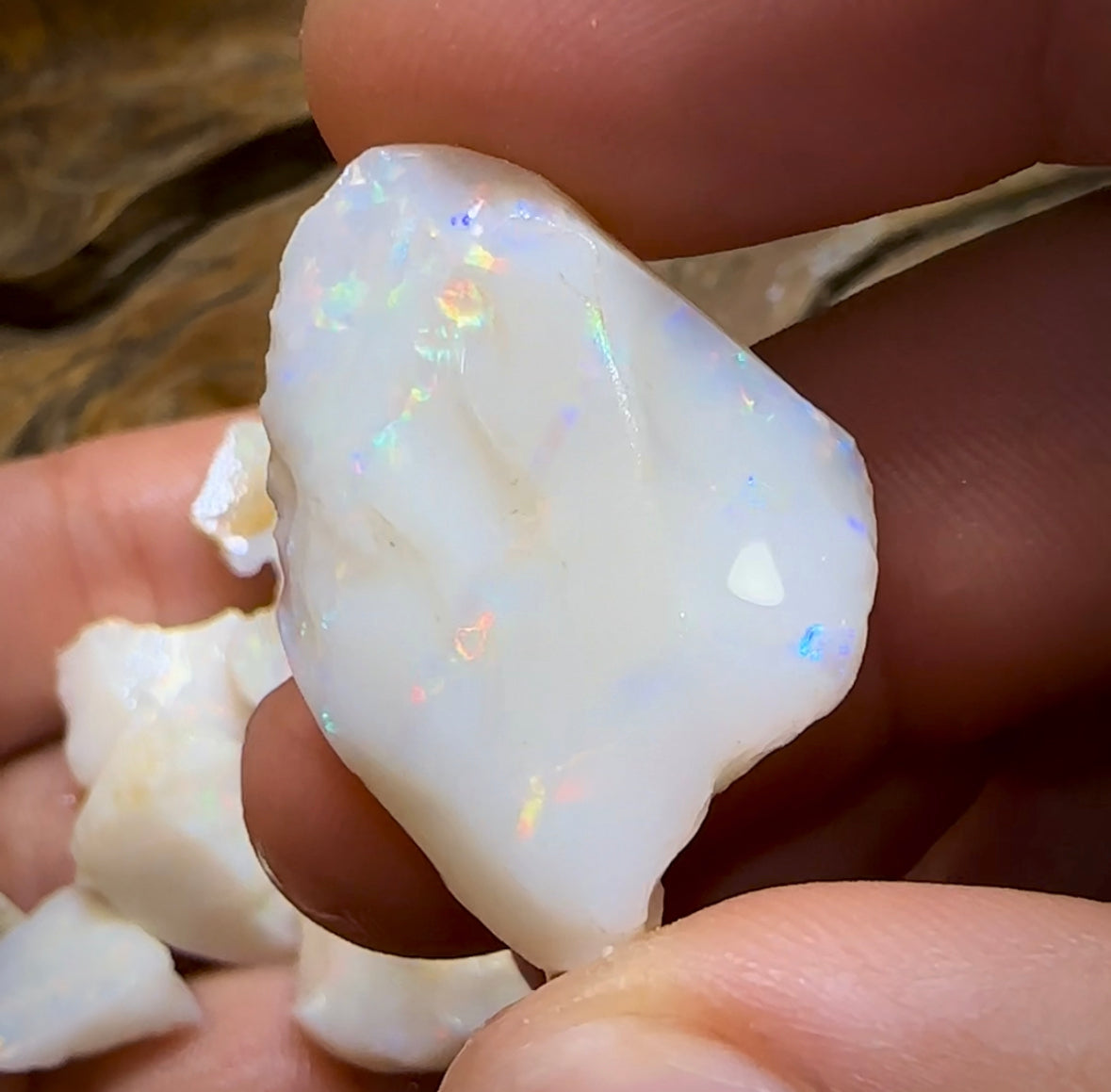 (Template) 98.3cts - 7x South Australian White Opal Rough Pieces - Opal Whisperers