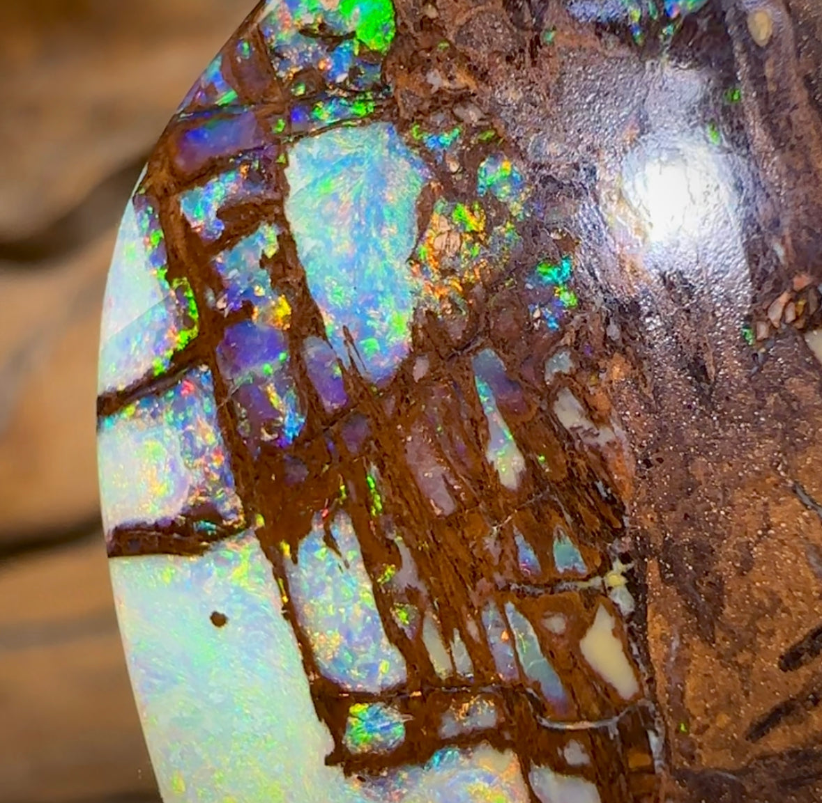 (Template) 24.1cts - Top Australian Boulder Wood Fossil Opal. Rare Cathedral Pattern - Opal Whisperers