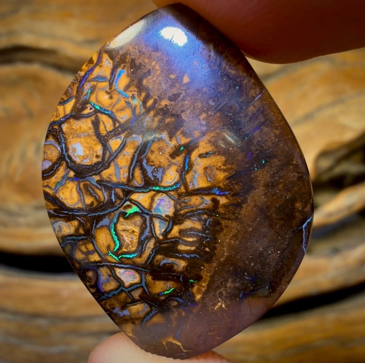 Wild Card! 37.1cts - Tribal Australian Boulder Opal from Yowah