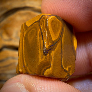 36,6 cts - Opale Boulder de la couche de Queensland (Opal Rub)
