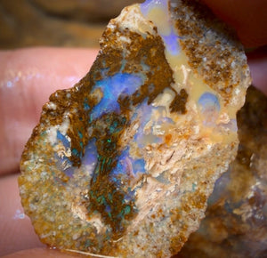 31.5cts - Yowah Fossil Opal Rough Pair. Australian Opal
