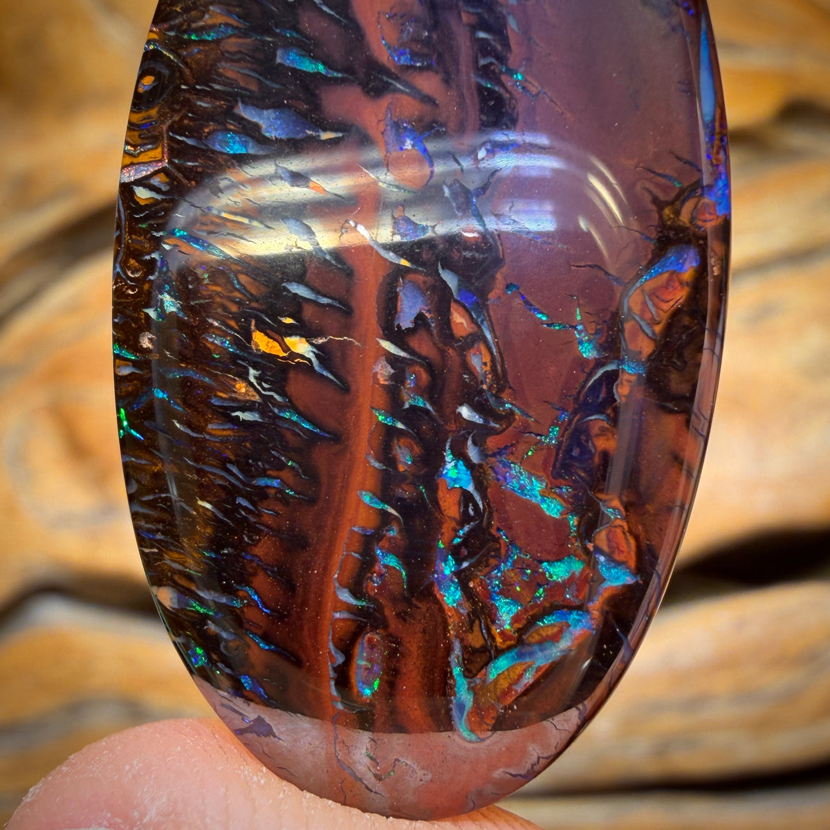 Aren’t You Glad you stayed until the end Card! 45.4cts - Tribal Koroit Nut Opal. Double Sided