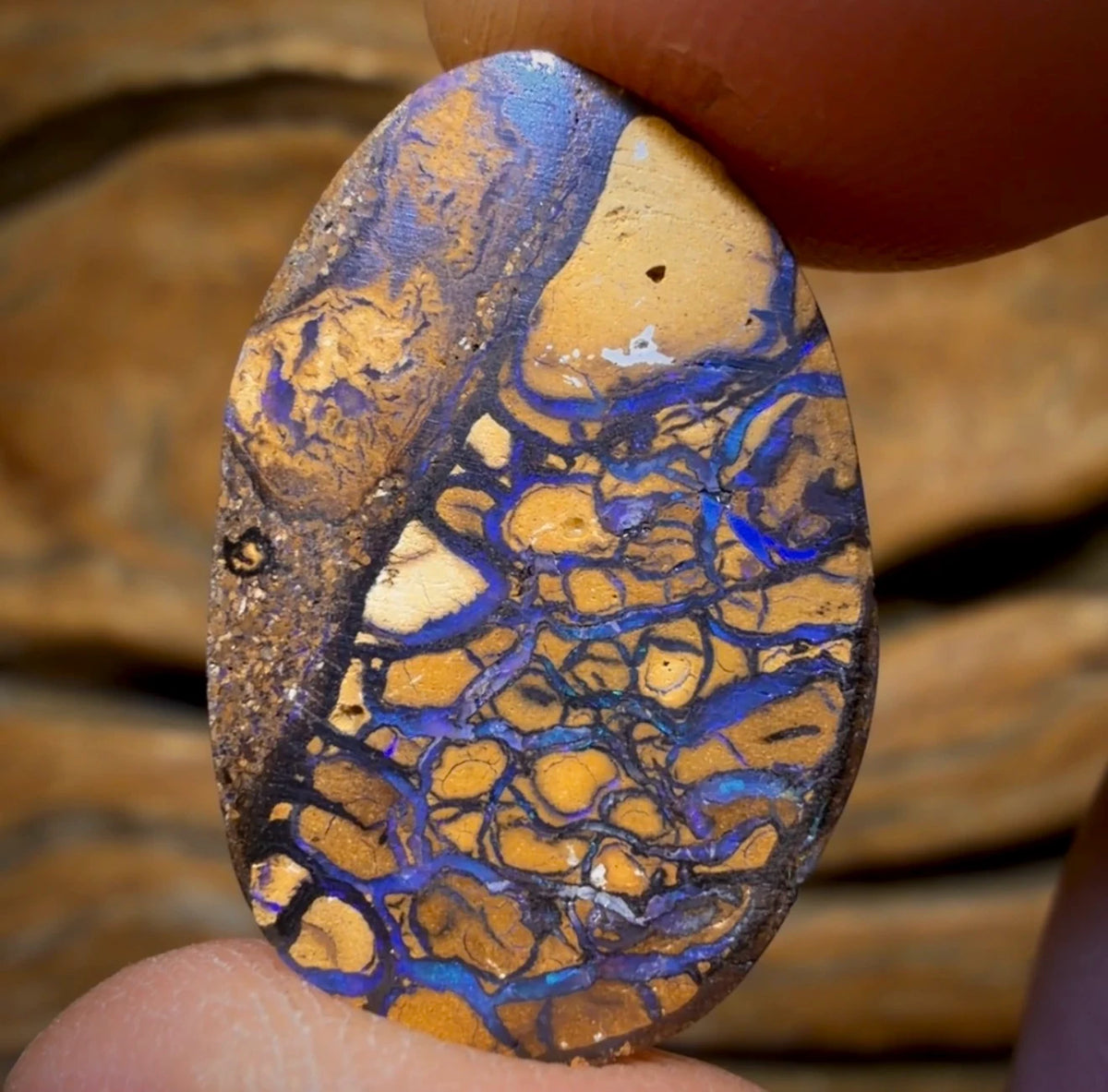 18.5cts - “WILD CARD” Australian Boulder Opal from Yowah