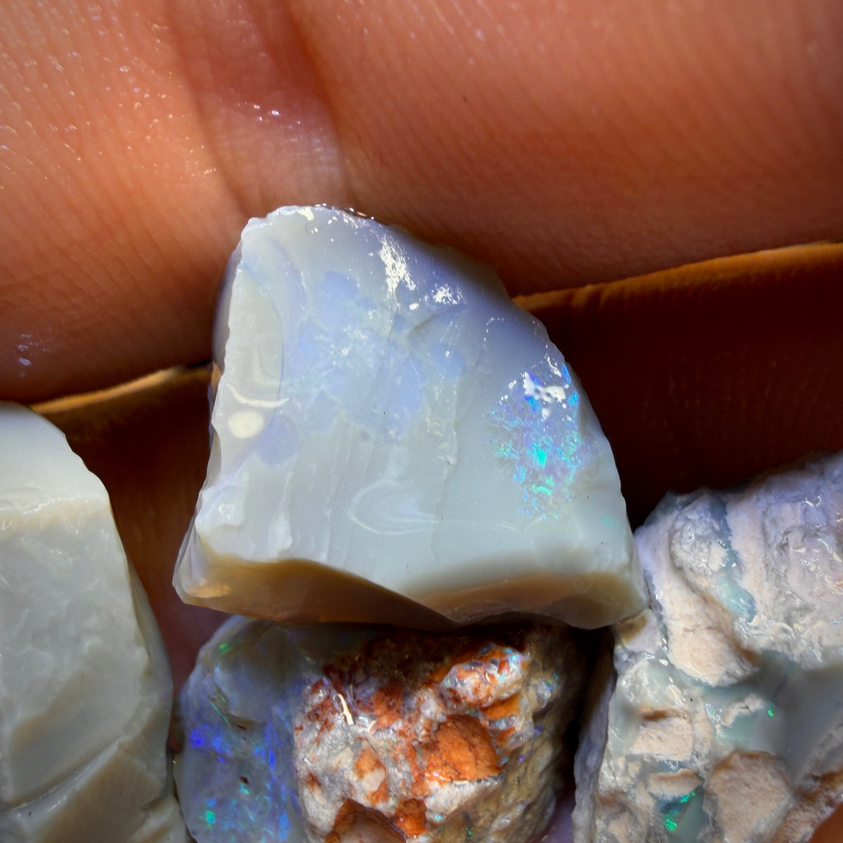 59.4cts - 4x Lightning Ridge Opal Rough Parcel