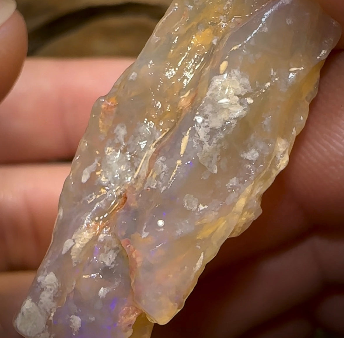 47.9cts - 2x Lightning Ridge Crystal and Dark Opal Fossil Rough Pieces - Opal Whisperers