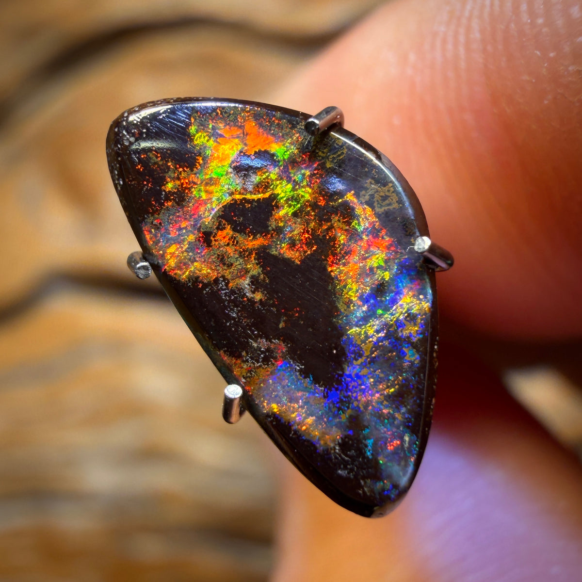 1.6cts - Red On Black Australian Boulder Opal from Yowah! As Rare as a Banger Comes!!!