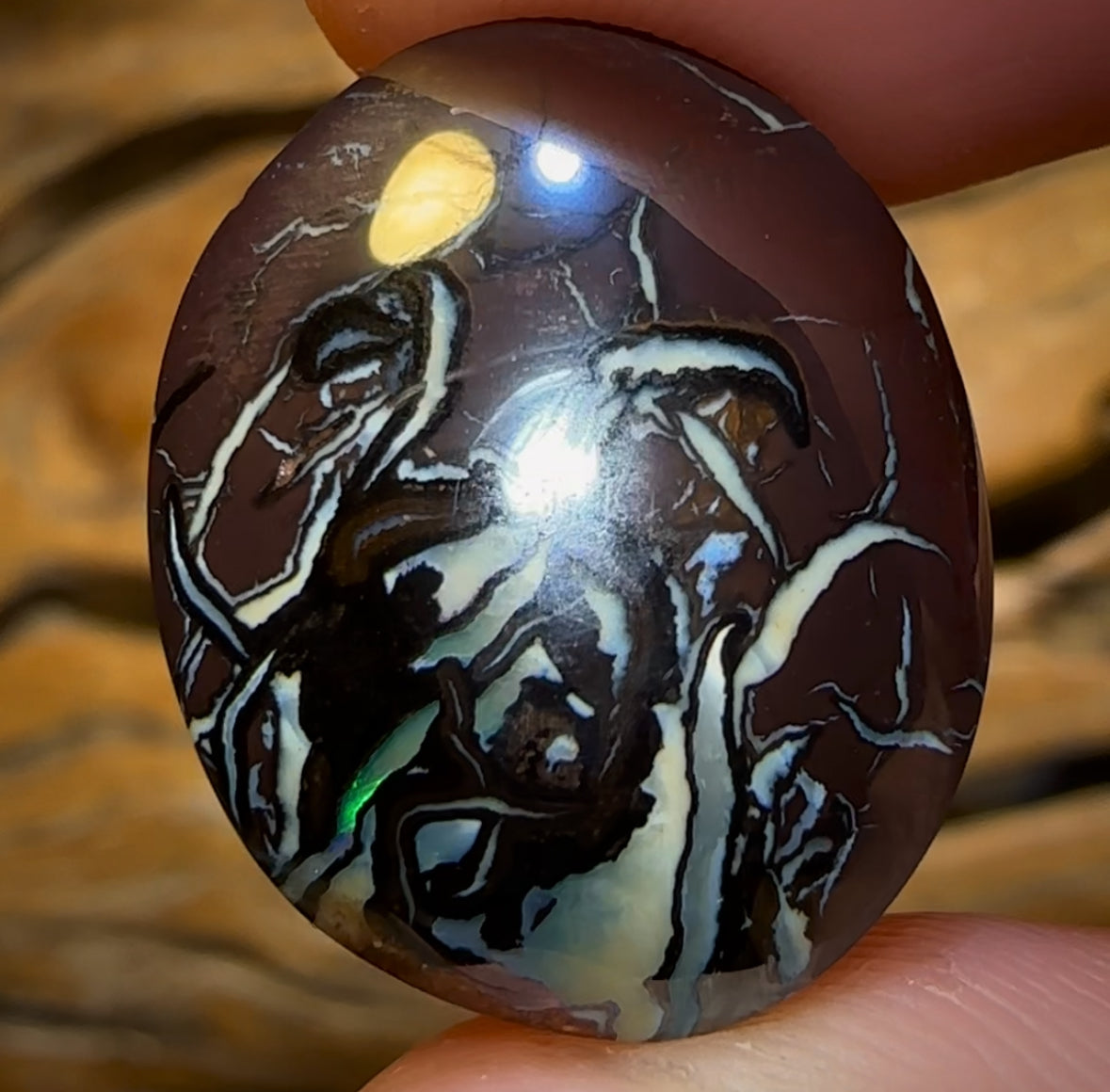 34.2cts - Queensland Boulder Opal from Koroit