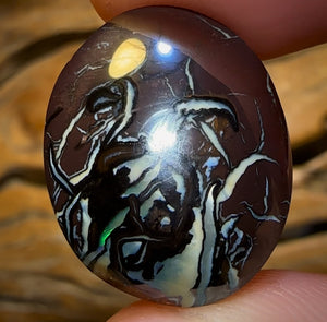 34.2cts - Queensland Boulder Opal from Koroit