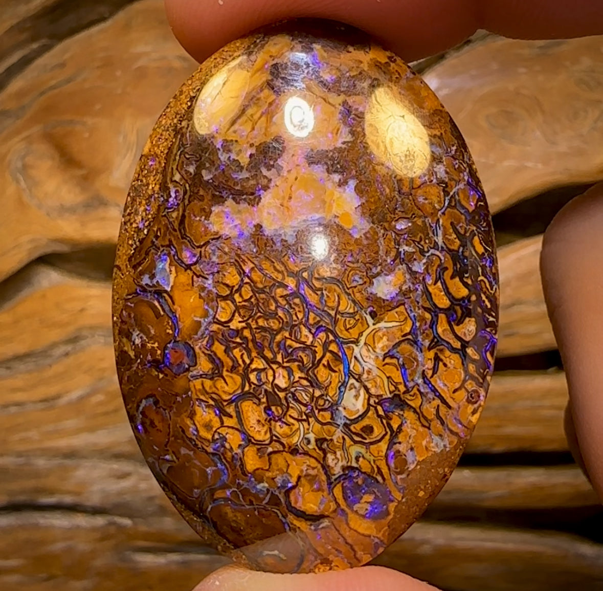 80.4cts - Large Oval Tribal Yowah Nut Opal. Double Sided!