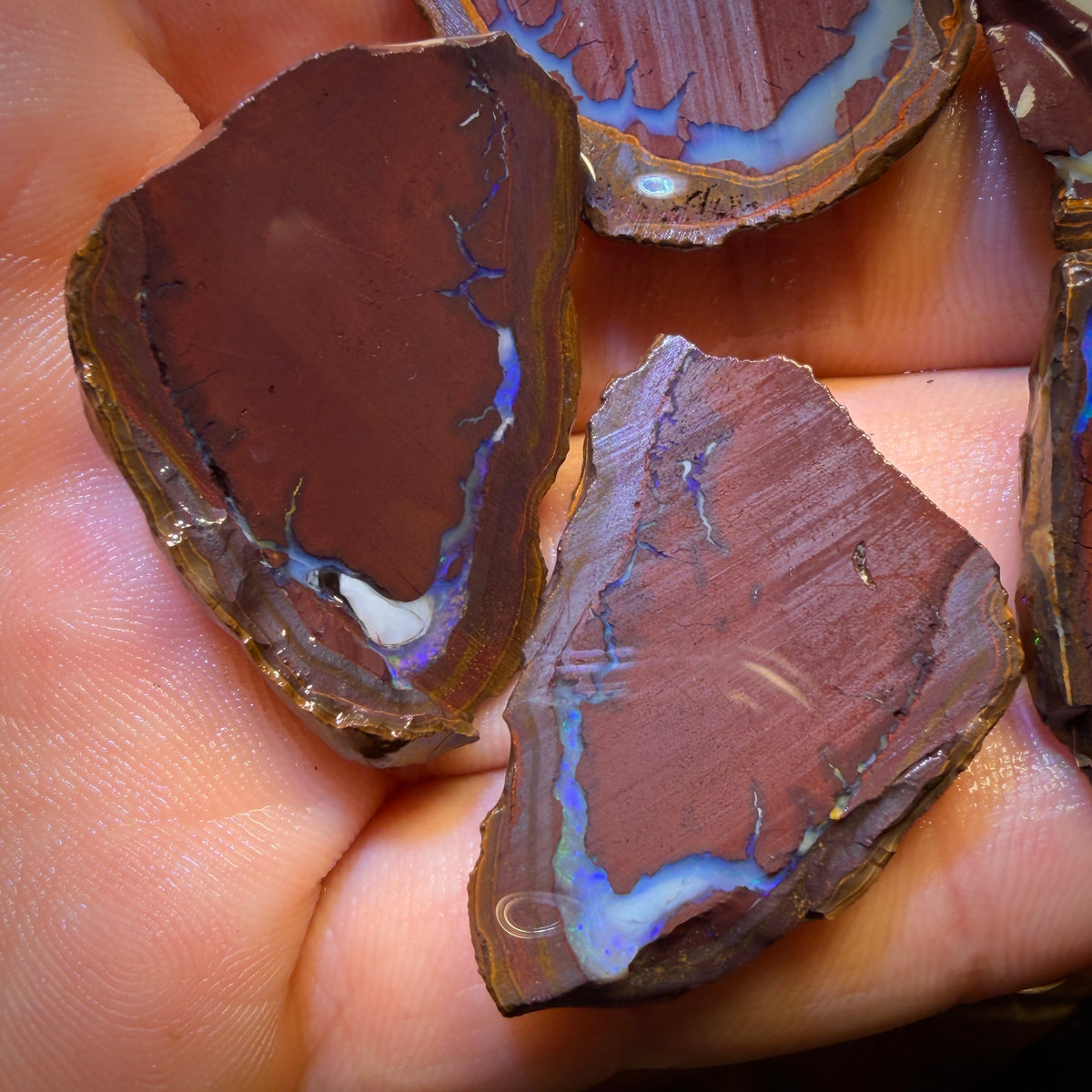 🔨 AUCTION 🔨 192.1cts - 5x Yowah Nut Kernel Rough Half’s Parcel