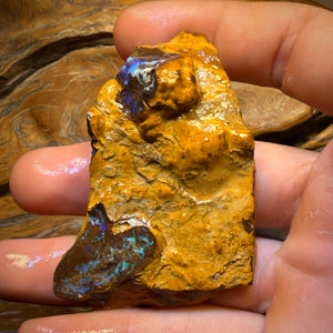 285cts - Yowah Opal Rohstück. Biskuitband