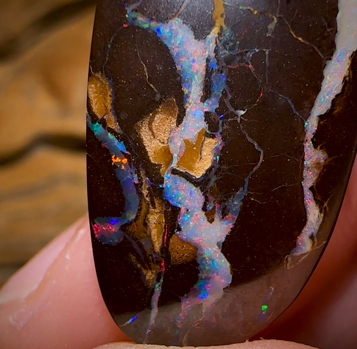 26.1cts - Queensland Boulder Opal from Yowah with Red