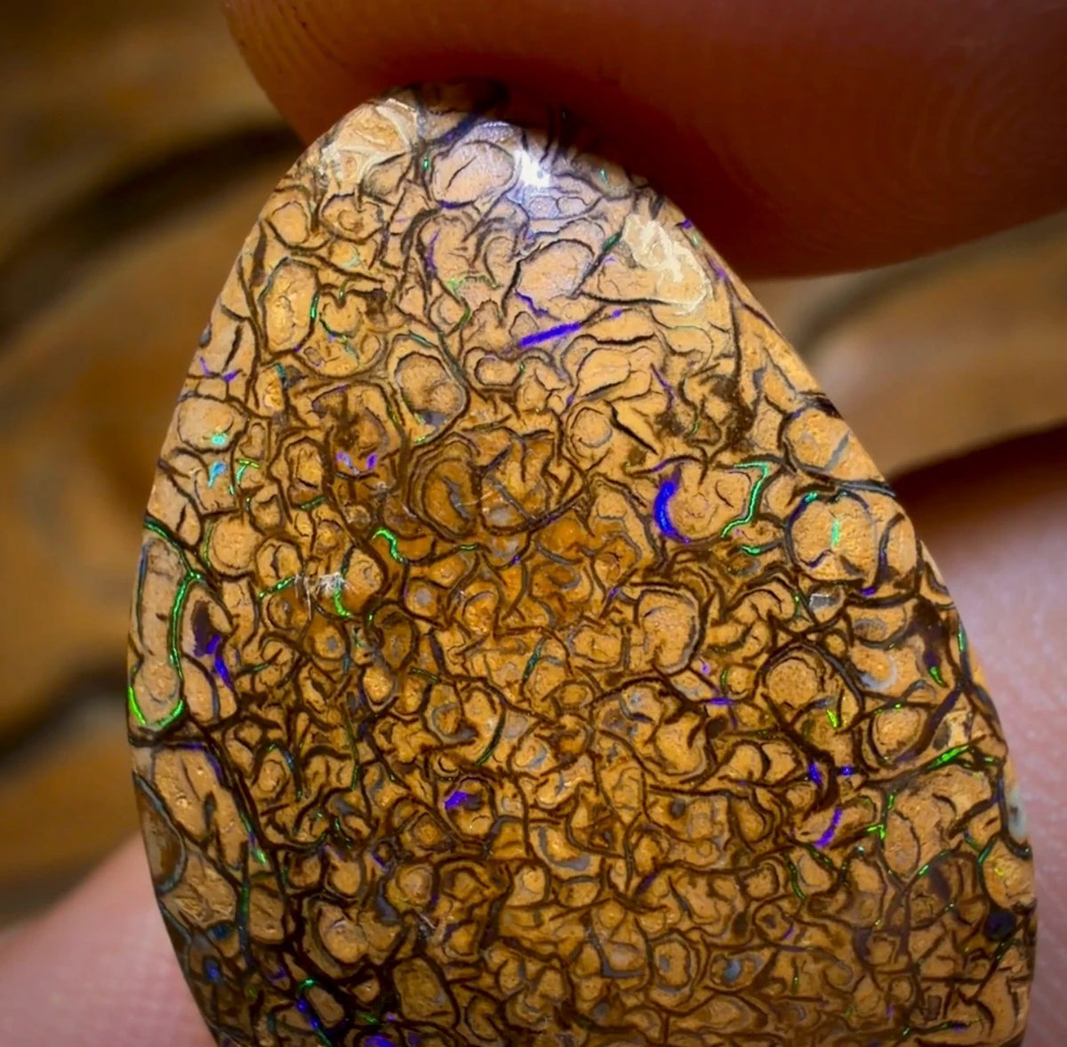 WildCard! 16.5cts - Tan Tribal Australian Boulder Opal from Yowah