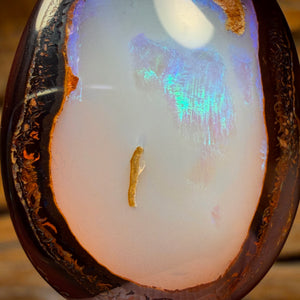 38.2cts - Yowah Nut Crysyal Centre Opal. Australian Boulder Opal