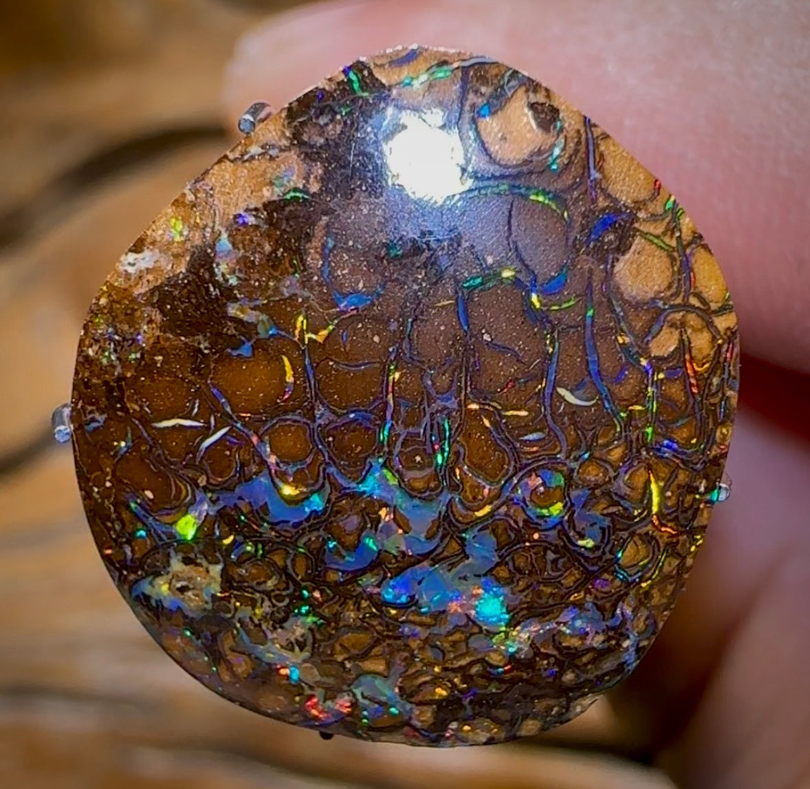 10.9cts - Queensland Boulder Opal. Yowah Tribal - Opal Whisperers