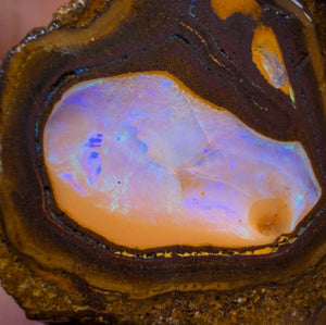 49.7cts - “Owl Eyes”Yowah Nut Partial Crystal Centre Rough Specimen Pair