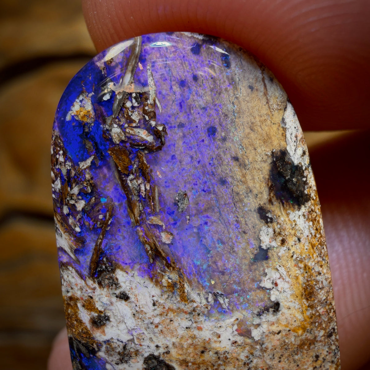 14,9 ct - Opale boulder australienne massive, pierre récifale aquatique