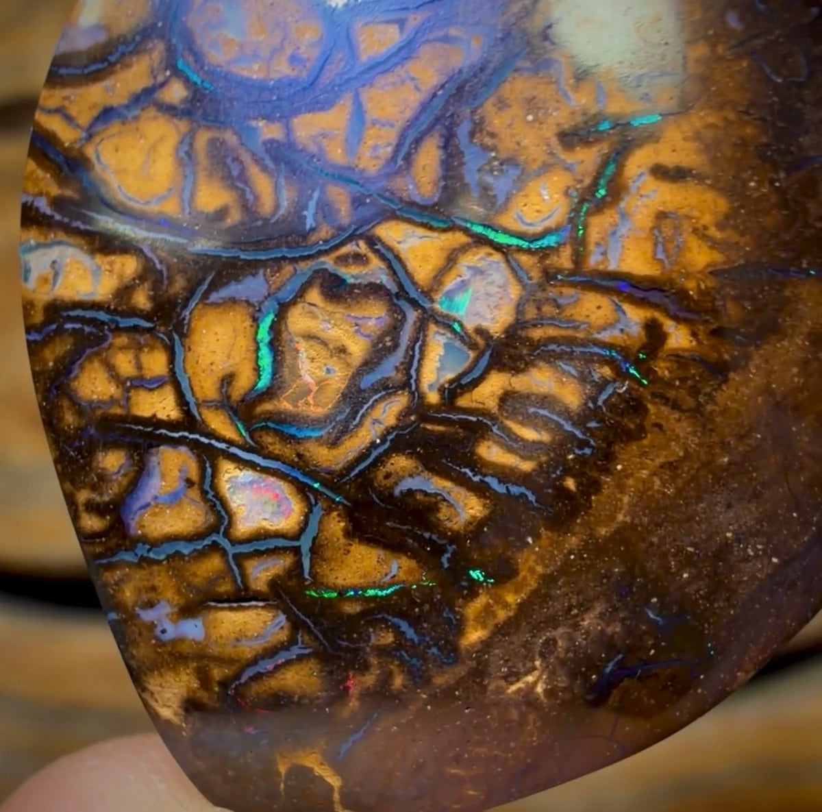 Wild Card! 37.1cts - Tribal Australian Boulder Opal from Yowah