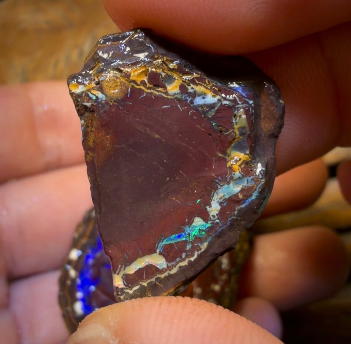 🔒157,6 cts - Lot de 3 opales brutes Yowah Nut. Opale boulder australienne