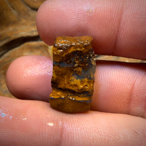 🔨 AUCTION 🔨 24.2cts - Boulder Pipe Opal Rough Piece. Australian Opal