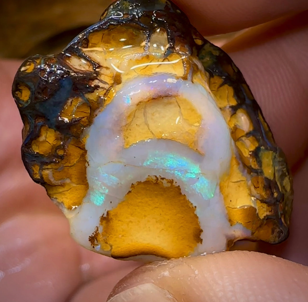 127.7cts - 4x Yowah Nut Rough Opal Parcel. Australian Boulder Opal - Opal Whisperers