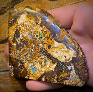 481cts - Vegetation Fossil Queensland Boulder Opal. Polished Specimen