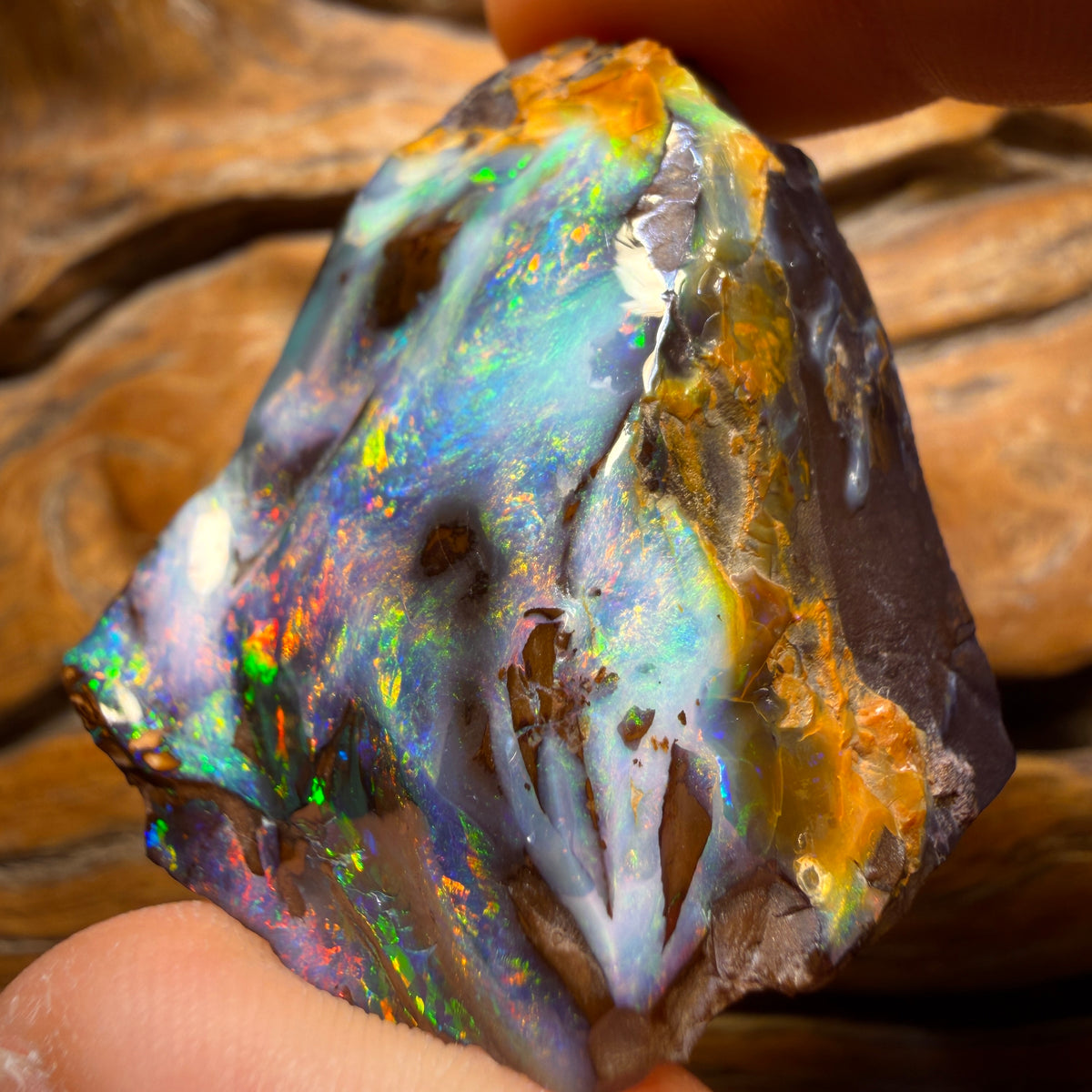 “Set in Stone” - Private Collector Acquisition- “Genesis” 247.1cts - Top Australian Boulder Seam Opal Specimen Polished