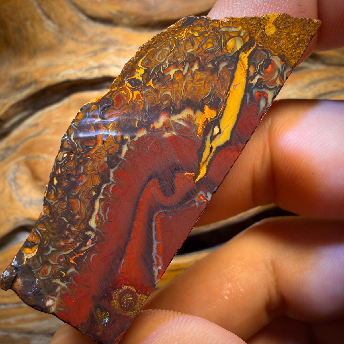 🔨 AUCTION 🔨 257.2cts - Tribal Yowah Nut Picture Stone Opal Rough Piece